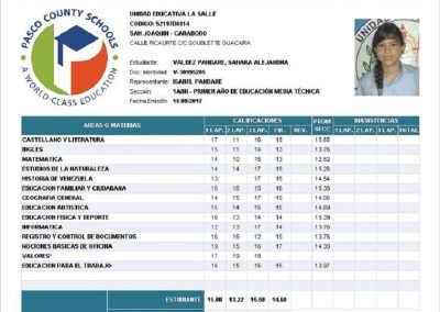 Configuración diferentes tipos de Planes de Estudios